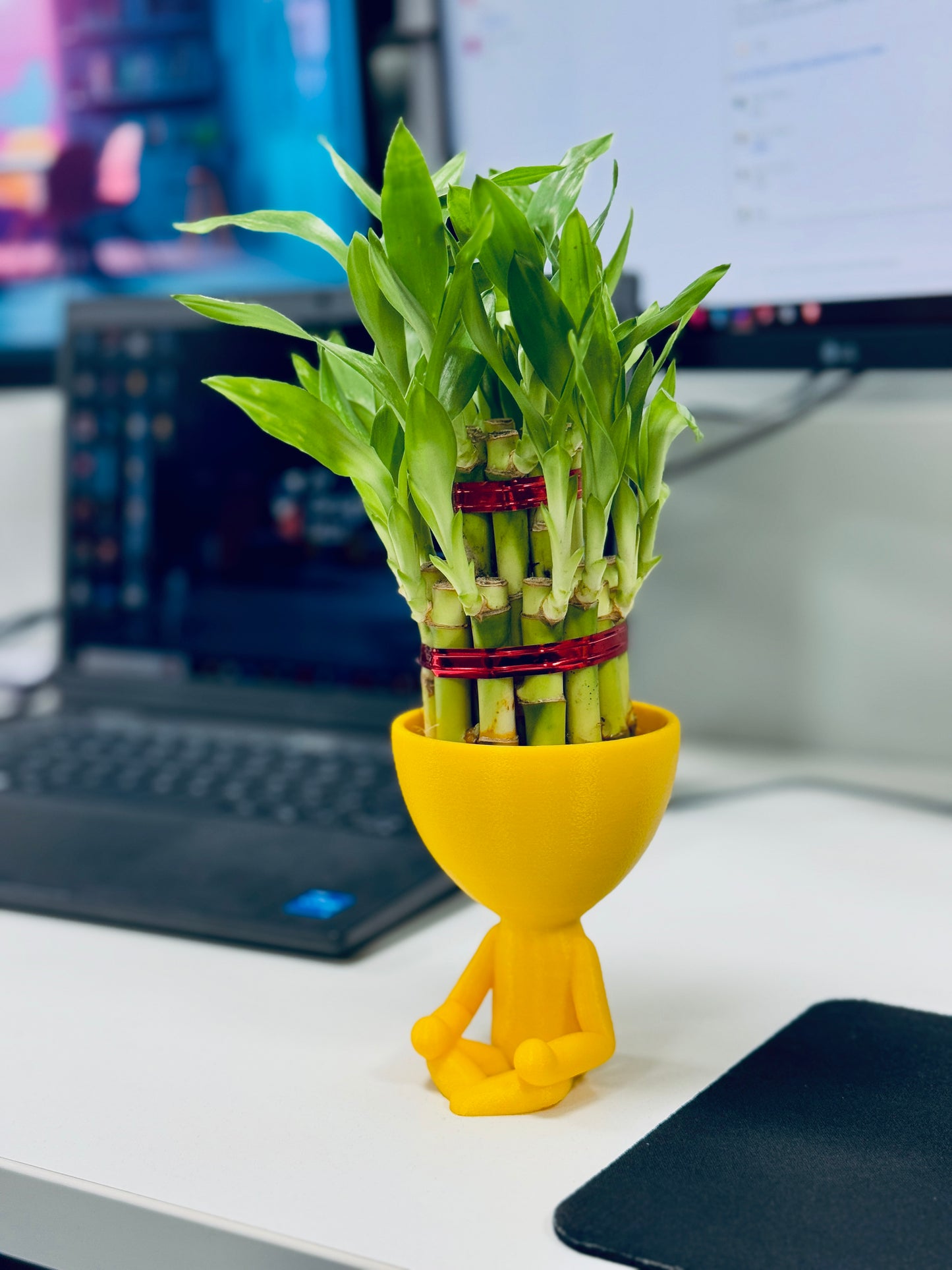Meditation Pose Planter – Tranquility for Your Greens