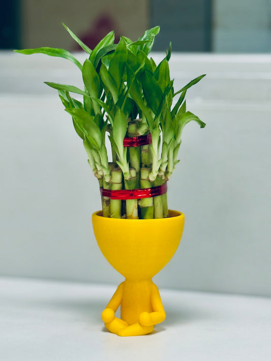 Meditation Pose Planter – Tranquility for Your Greens