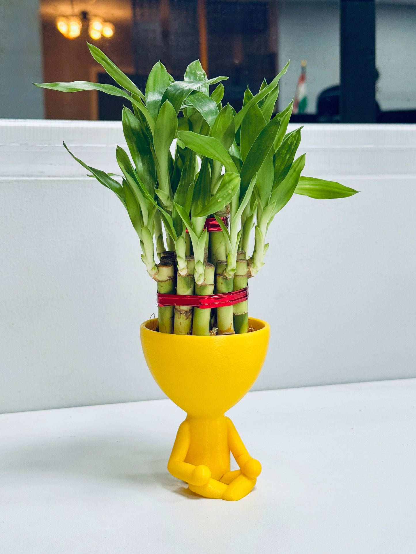 Meditation Pose Planter – Tranquility for Your Greens