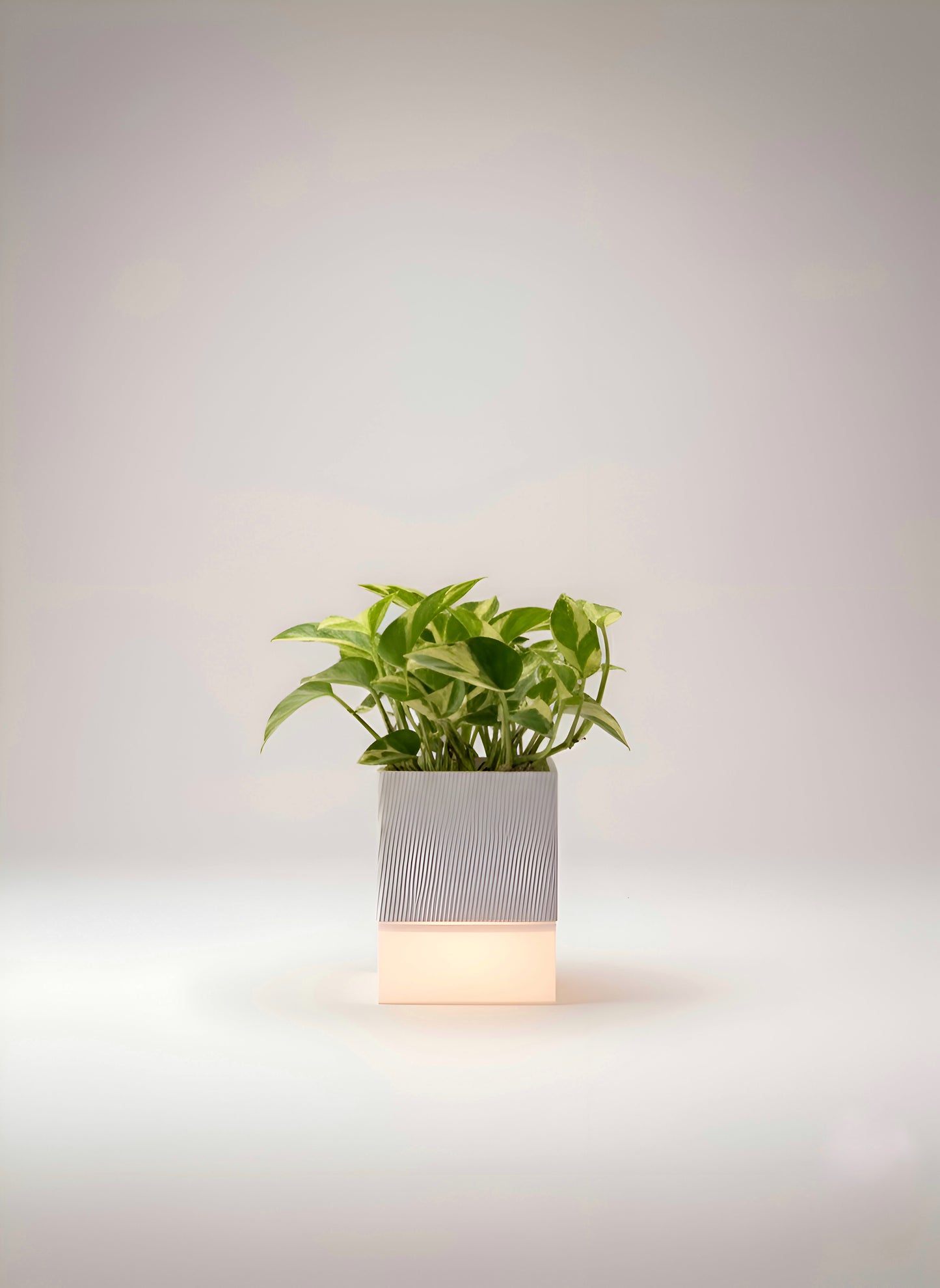 🌿 Glowpot – The Battery Powered Portable Planter Lamp | LayerLabs