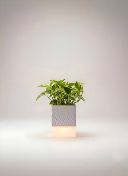 🌿 Glowpot – The Battery Powered Portable Planter Lamp | LayerLabs