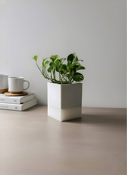 🌿 Glowpot – The Battery Powered Portable Planter Lamp | LayerLabs