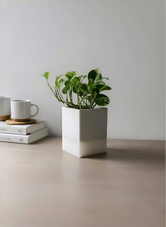 🌿 Glowpot – The Battery Powered Portable Planter Lamp | LayerLabs