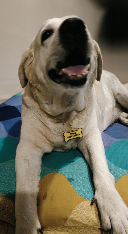 Personalized Pet tags with Parent contact